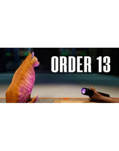 Order 13 - STEAM GIFT РОССИЯ