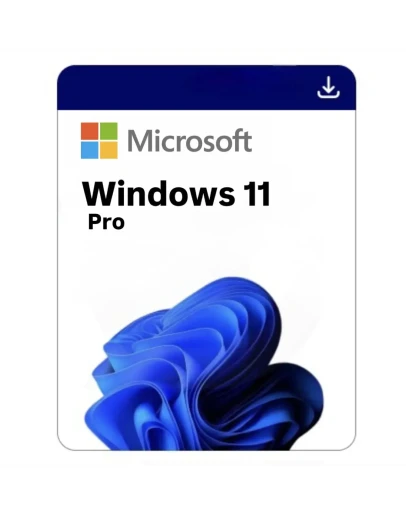MICROSOFT WINDOWS 10/11 PRO/HOME