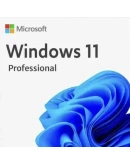 MICROSOFT WINDOWS 10/11 PRO/HOME