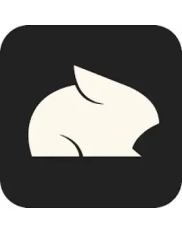 Подписка Pika AIStandard/Pro/Fancy Подписка Pika AIStandard/Pro/Fancy