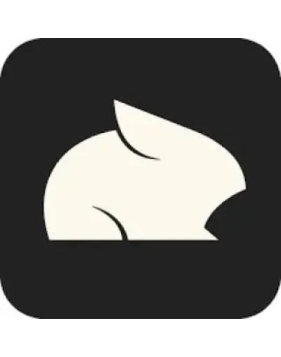 Подписка Pika AIStandard/Pro/Fancy