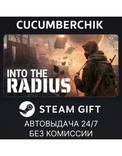 Into the Radius VRSTEAM GIFT AUTORU+МИР
