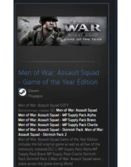 Men of War: Assault Squad GOTY GIFT GLOBAL REG FREE