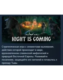 Night is Coming АВТОДОСТАВКА STEAM РОССИЯ