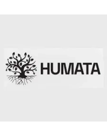 Подписка на аккаунт команды humata.ai на 1 месяц
