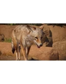 Planet Zoo: Americas Animal PackSTEAM GIFT AUTORU+МИР