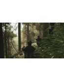 Lushfoil Photography Sim АВТОДОСТАВКА STEAM РОССИЯ