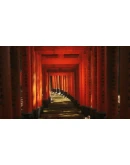 Lushfoil Photography Sim АВТОДОСТАВКА STEAM РОССИЯ