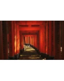 LUSHFOIL PHOTOGRAPHY SIM XBOX SERIES XSКЛЮЧ LUSHFOIL PHOTOGRAPHY SIM XBOX SERIES XSКЛЮЧ