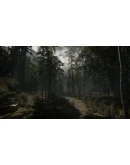 Stray Souls XBOX SERIES XS ONE Ключ