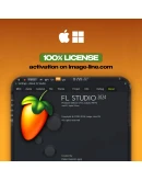 FL STUDIO 2025 PRODUCER EDITION НАВСЕГДА