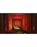 Lushfoil Photography SimSTEAM GIFT AUTORU+МИР