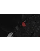 White Knuckle АВТОДОСТАВКА STEAM РОССИЯ