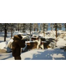 Another Try 2 АВТОДОСТАВКА STEAM РОССИЯ