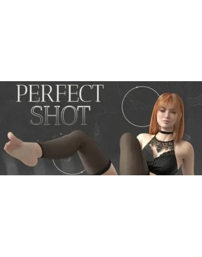 Perfect Shot АВТОДОСТАВКА STEAM РОССИЯ