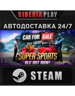 Car For Sale Simulator 2023 STEAM RU/UA/KZ/СНГ