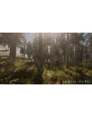 Mortal Online 2 STEAM АВТО RU/UA/KZ/СНГ