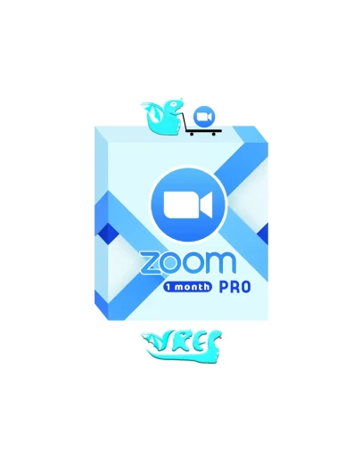 Boom Zoom One Pro на ваш аккаунт 1 месяц