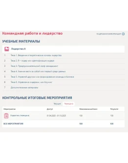 Командная работа и лидерство.Тест Синергия/МТИ 2025г