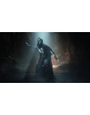 Hunt: Showdown - The Shadow Under the Cowl DLC STEAM