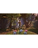 The Elder Scrolls IV: Oblivion Remastered - STEAM RU