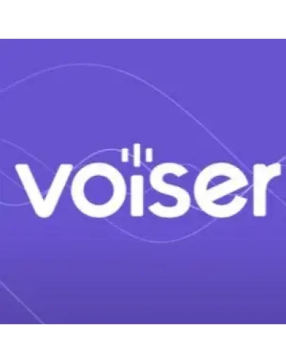 Voiser AIStarter/Pro