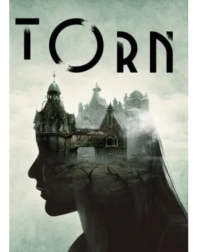 РФ/GLOBAL TORN STEAM КЛЮЧ