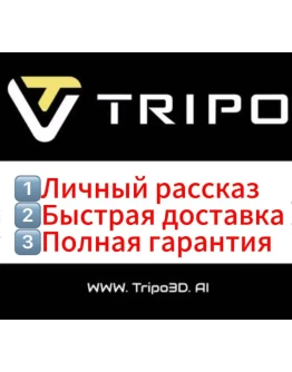 Подписка на Tripo 3D PRO 3000 кредитов 1 месяц Подписка на Tripo 3D PRO 3000 кредитов 1 месяц