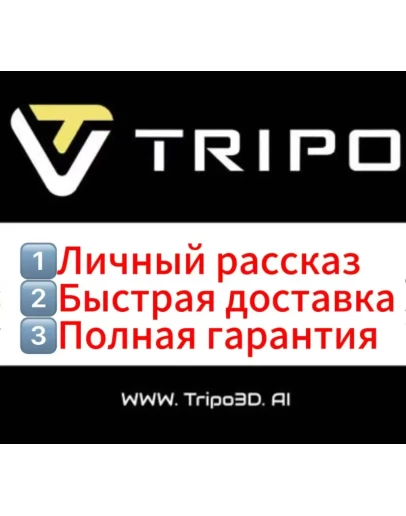 Подписка на Tripo 3D PRO 3000 кредитов 1 месяц Подписка на Tripo 3D PRO 3000 кредитов 1 месяц