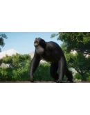 Planet Zoo: Conservation Pack DLC STEAM АВТО RU