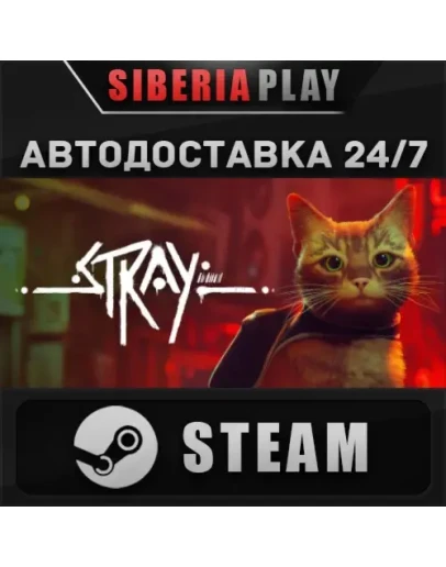 Stray STEAM АВТО RU/UA/KZ/СНГ
