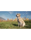 theHunter: Call of the Wild - Labrador Retriever DLC