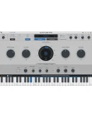 Autotune Pro 11 Perpetual License NEW ACCOUNT ONLY