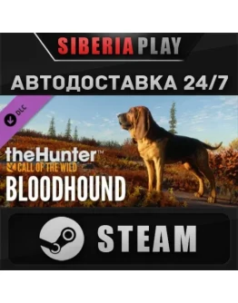 theHunter: Call of the Wild - Bloodhound DLC*STEAM
