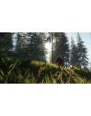 theHunter: Call of the Wild - Bloodhound DLC*STEAM
