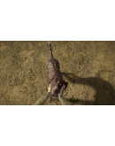 theHunter: Call of the Wild-German Shorthaired Pointer