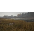 theHunter: Call of the Wild-German Shorthaired Pointer