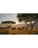 theHunter: Call of the Wild - Vurhonga Savanna DLC
