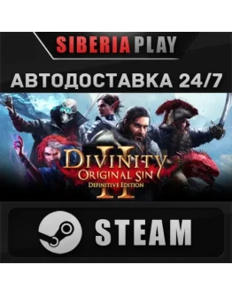 Divinity: Original Sin 2 STEAM АВТО RU/UA/KZ/СНГ