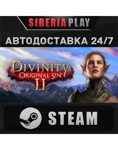 Divinity: Original Sin 2 - Divine Edition STEAM АВТО