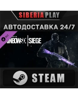 Tom Clancy's Rainbow Six Siege - Amethyst Weapon Skin
