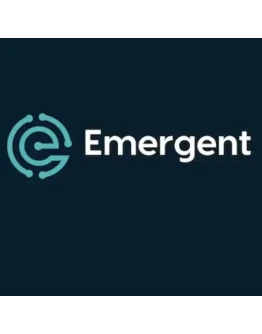 Emergent AI Обновление Подписка 1 месяц Emergent app