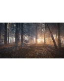 theHunter: Call of the Wild - Medved-TaigaSTEAMМИР