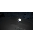 Red or Blue АВТОДОСТАВКА STEAM РОССИЯ