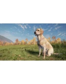 theHunter: Call of the Wild - Labrador RetrieverSTEAM