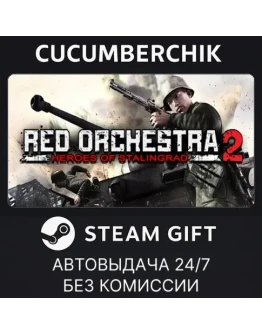 RO2 with Rising StormSTEAM GIFT AUTORU+МИР