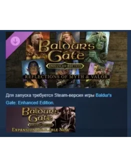 Baldur's Gate: Reflections Of Myth &amp Valor DLC STEAM РФ