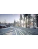 DiRT Rally 2.0 - Sweden (Rally Location) DLC STEAM АВТО