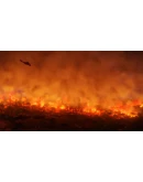 Arma 3 Creator DLC: Reaction Forces STEAM RU/UA/KZ/СНГ Arma 3 Creator DLC: Reaction Forces STEAM RU/UA/KZ/СНГ