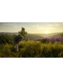 theHunter: Call of the Wild Cuatro Colinas Game Reserve